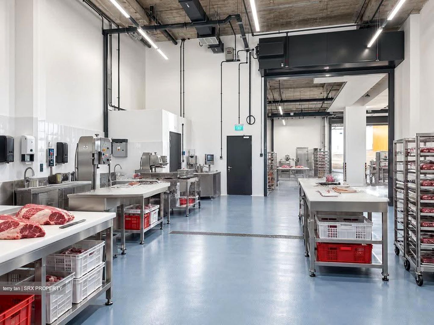 FOOD ASCENT (D22), Factory #618131911